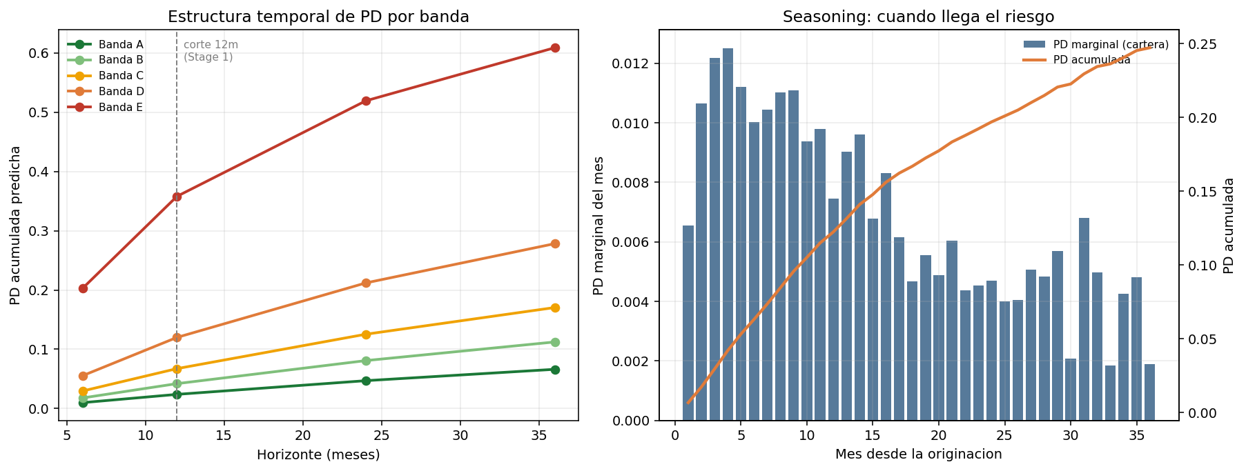 PD term structure by risk band