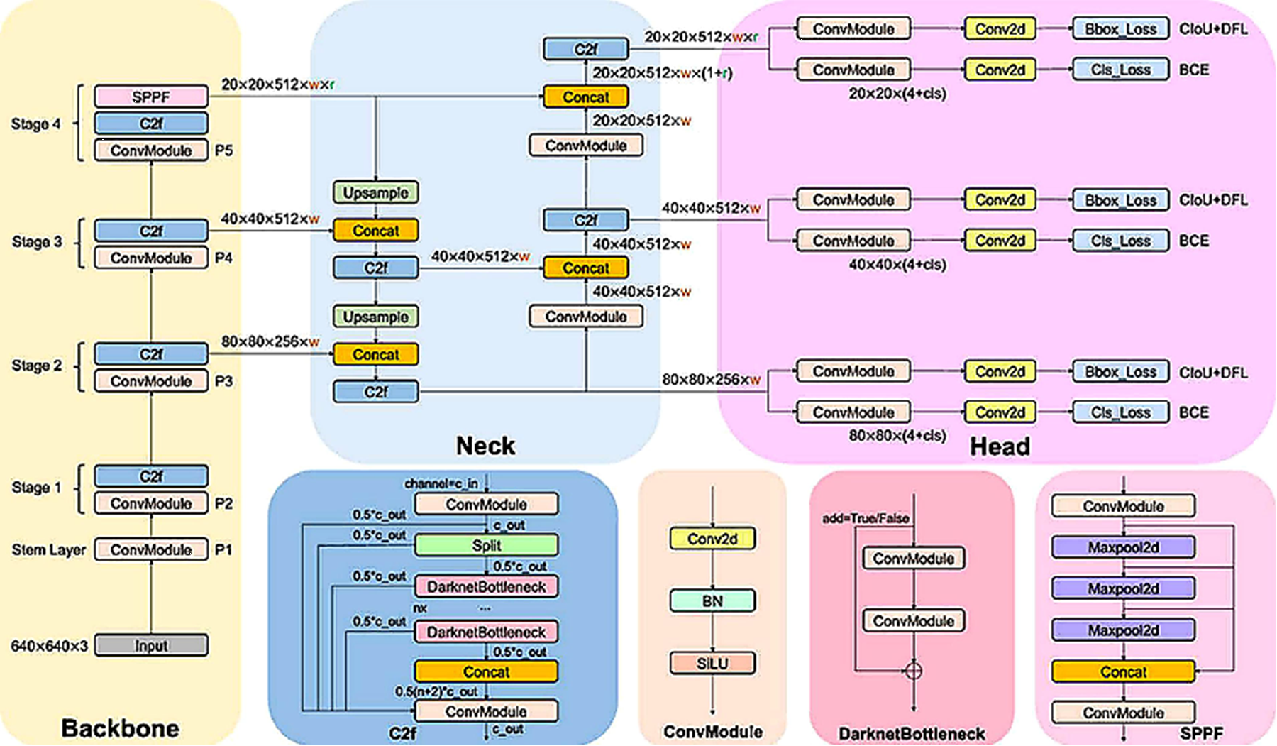 Figure 2: YOLOv8 architecture (Backbone-Neck-Head)