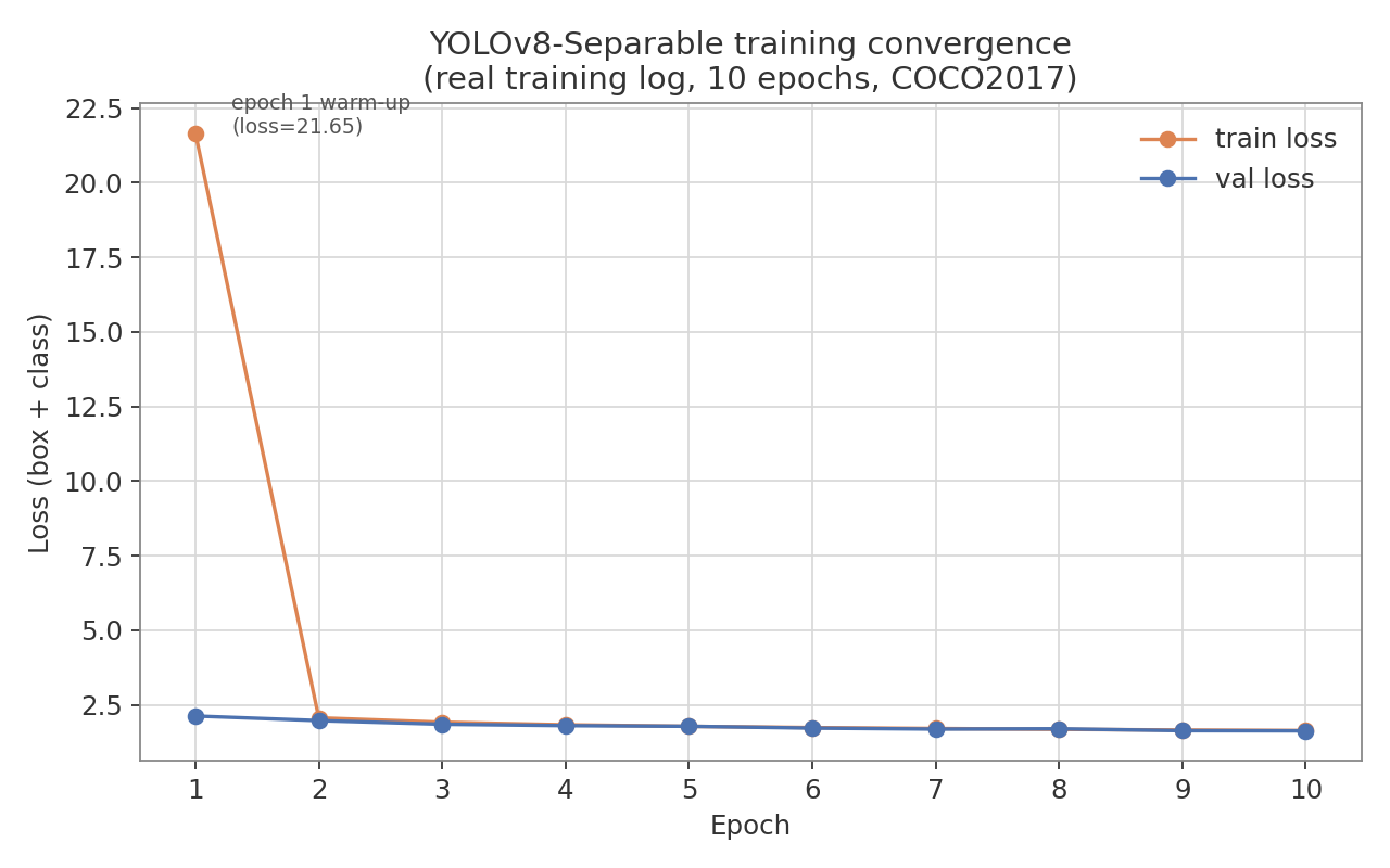 Training convergence — YOLOv8-Separable